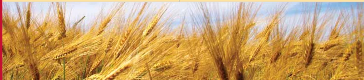 MASSEY FERGUSON 7200 CENTORA - Auto Level Combine: keeping productivity on the level - 4