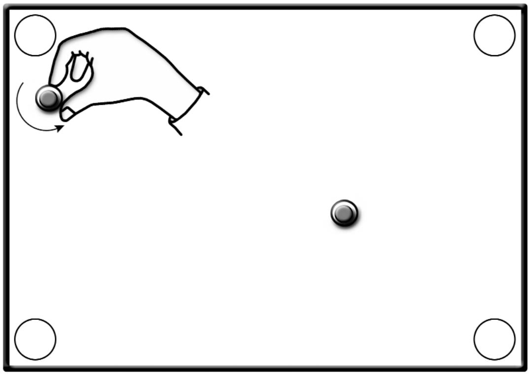 NAIM CD5 - Transit Screw - 1