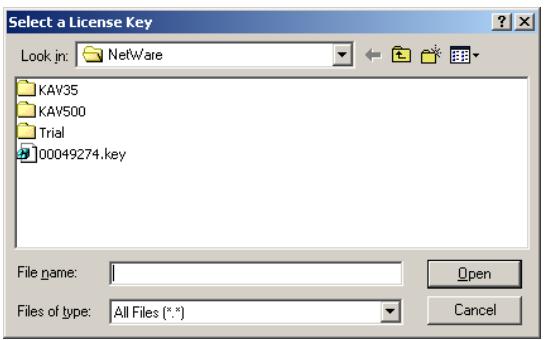 KASPERSKY ANTI-VIRUS 5.7 - Installing the license key - 2