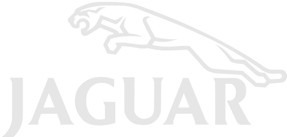 JAGUAR X-TYPE - Select town - 1