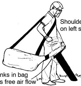 WEED EATER EBV200W - COLLECTION BAG ASSEMBLY - 3
