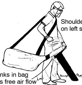WEED EATER EBV215 - COLLECTION BAG ASSEMBLY - 3