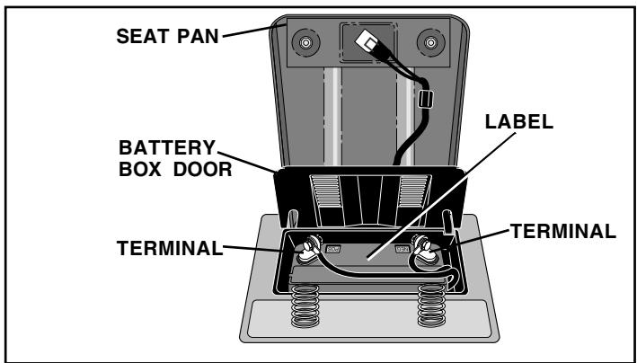 WEED EATER WE12538H - CHECK BATTERY (See Fig. 2) - 1