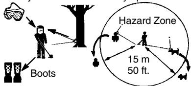 WEED EATER WEEL15TNE - SAFETY INFORMATION ON THE UNIT - 4