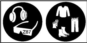 WEED EATER 2400 - DANGER: - 5