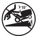 WEED EATER 960480001 - GENERAL SERVICE - 4