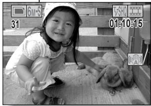 LOGICOM-SANYO XACTI VPC-CA65EX - Photographies d'images individuelles - 2