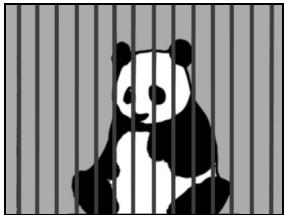 LOGICOM-SANYO XACTI VPC-CA65EX - En cas de présence d'objets proches et lointains à la fois - 1