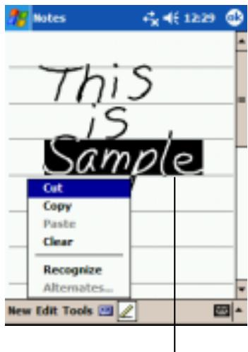YAKUMO ALPHAX GPS - Converting Your Writing to Text - 1