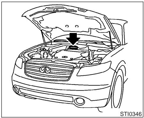 INFINITI FX45 - PLAQUE D'identification du vehicule (vin) - 1