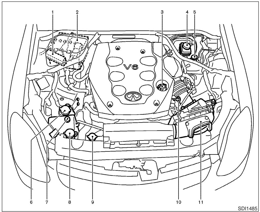 INFINITI G35 - Emplacements de compartiment-moteur - 1