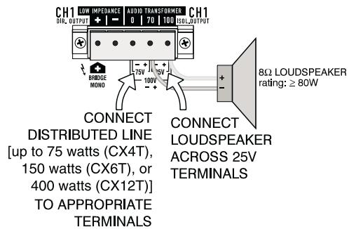 QSC AUDIO CX 4 - CONNECTING BOTH A DISTRIBUTED LINE AND A DIRECT LOUDSPEAKER ON ONE CHANNEL - 2