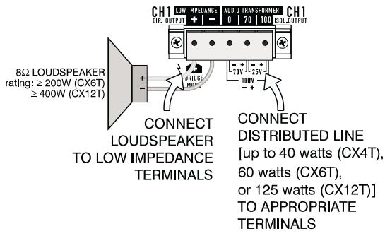 QSC AUDIO CX 4 - CONNECTING BOTH A DISTRIBUTED LINE AND A DIRECT LOUDSPEAKER ON ONE CHANNEL - 1