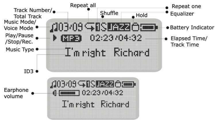 CURTIS MP128 - LCD Display - 1