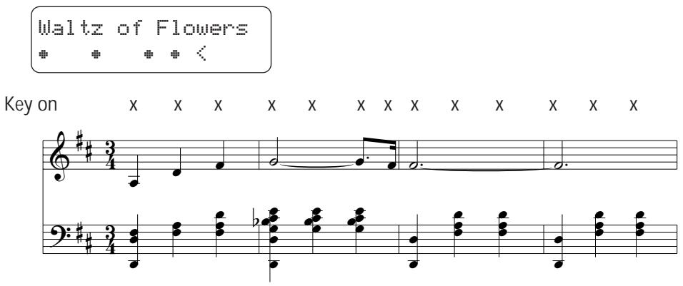KAWAI CA1000 - SKILLFUL - 1