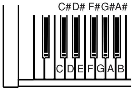 KAWAI CL20 - TRANSPOSE - 1
