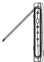 NEXT BASE SDV185-SD - HOW TO STAND - 1