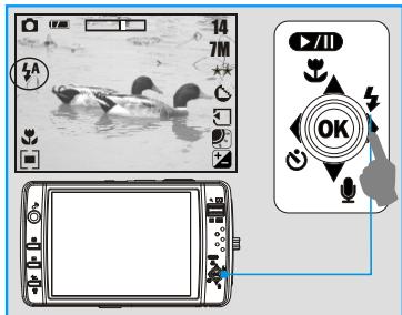 FERRANIA SD-711 - Mode flash - 1