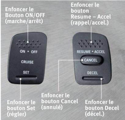 DODGE DAKOTA - Éclairage de la caisse - 1
