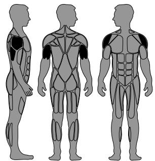 CYBEX INTERNATIONAL 11010_OVERHEAD PRESS - Intended Use - 1