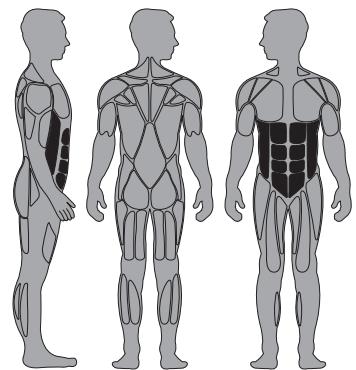 CYBEX INTERNATIONAL 11090_ABDOMINAL - Instructions - 1
