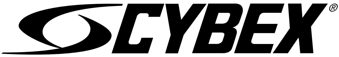 CYBEX INTERNATIONAL 11100_BACK EXTENSION - 1