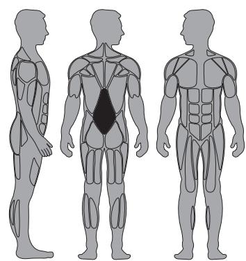 CYBEX INTERNATIONAL 11100_BACK EXTENSION - Instructions - 1