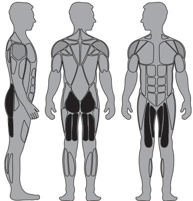 CYBEX INTERNATIONAL 11170_GLUTE - Instructions - 1