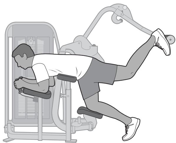 CYBEX INTERNATIONAL 11170_GLUTE - Instructions - 3