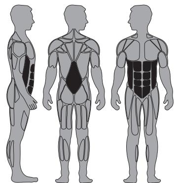 CYBEX INTERNATIONAL 11190_TORSO - Instructions - 1