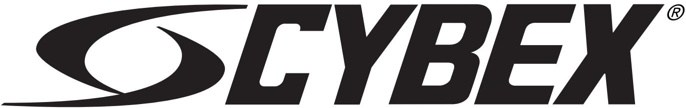 CYBEX INTERNATIONAL 12010 OVERHEAD PRESS - 1