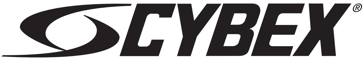 CYBEX INTERNATIONAL 12010 OVERHEAD PRESS - 1