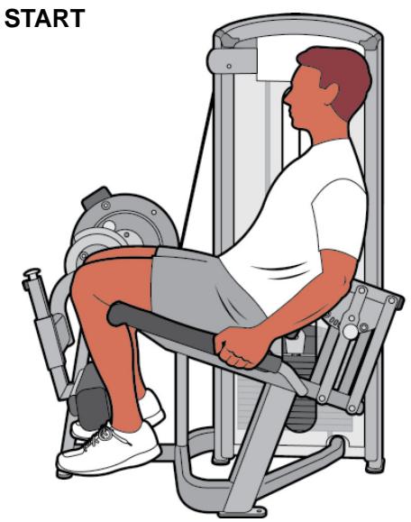 CYBEX INTERNATIONAL 12050 LEG EXTENSION - MUSCLES USED - 2