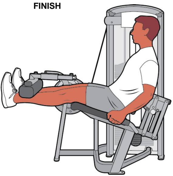 CYBEX INTERNATIONAL 12050 LEG EXTENSION - MUSCLES USED - 3