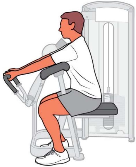 CYBEX INTERNATIONAL 12070 ARM CURL - Instructions - 2