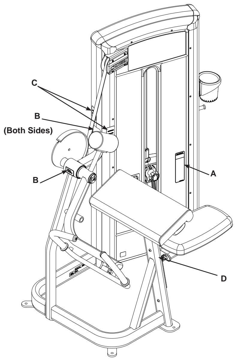 CYBEX INTERNATIONAL 12070 ARM CURL - CAUTION - 1