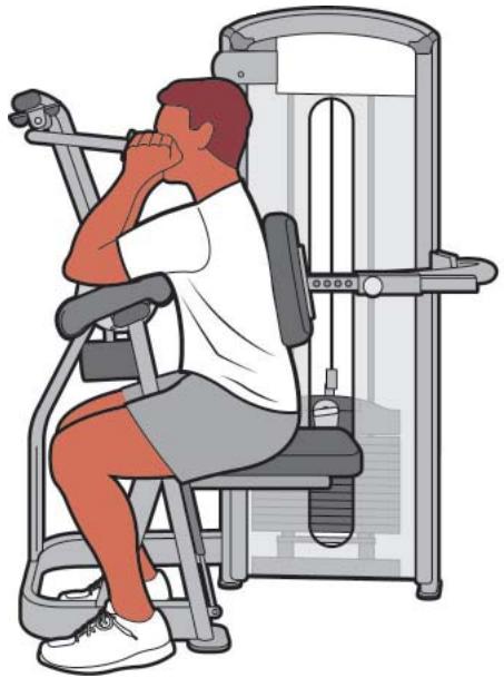 CYBEX INTERNATIONAL 12080 ARM EXTENSION - MUSCLES USED - 2
