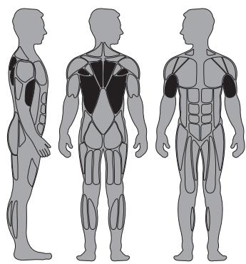 CYBEX INTERNATIONAL 12130 LAT PULL - Instructions - 1