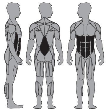 CYBEX INTERNATIONAL 12190 TORSO - Instructions - 1