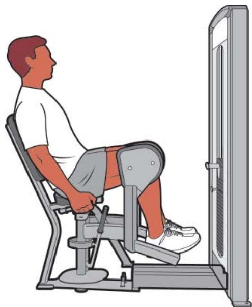 CYBEX INTERNATIONAL 12200 HIP ABDUCTION - Instructions - 2