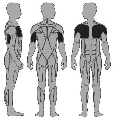 CYBEX INTERNATIONAL 13000 CHEST PRESS - Instructions - 1