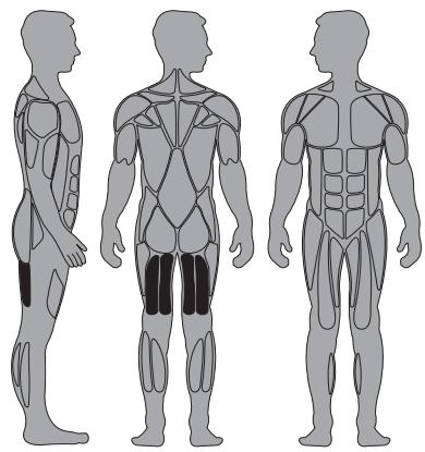 CYBEX INTERNATIONAL 13060 SEATED LEG CURL - Instructions - 1
