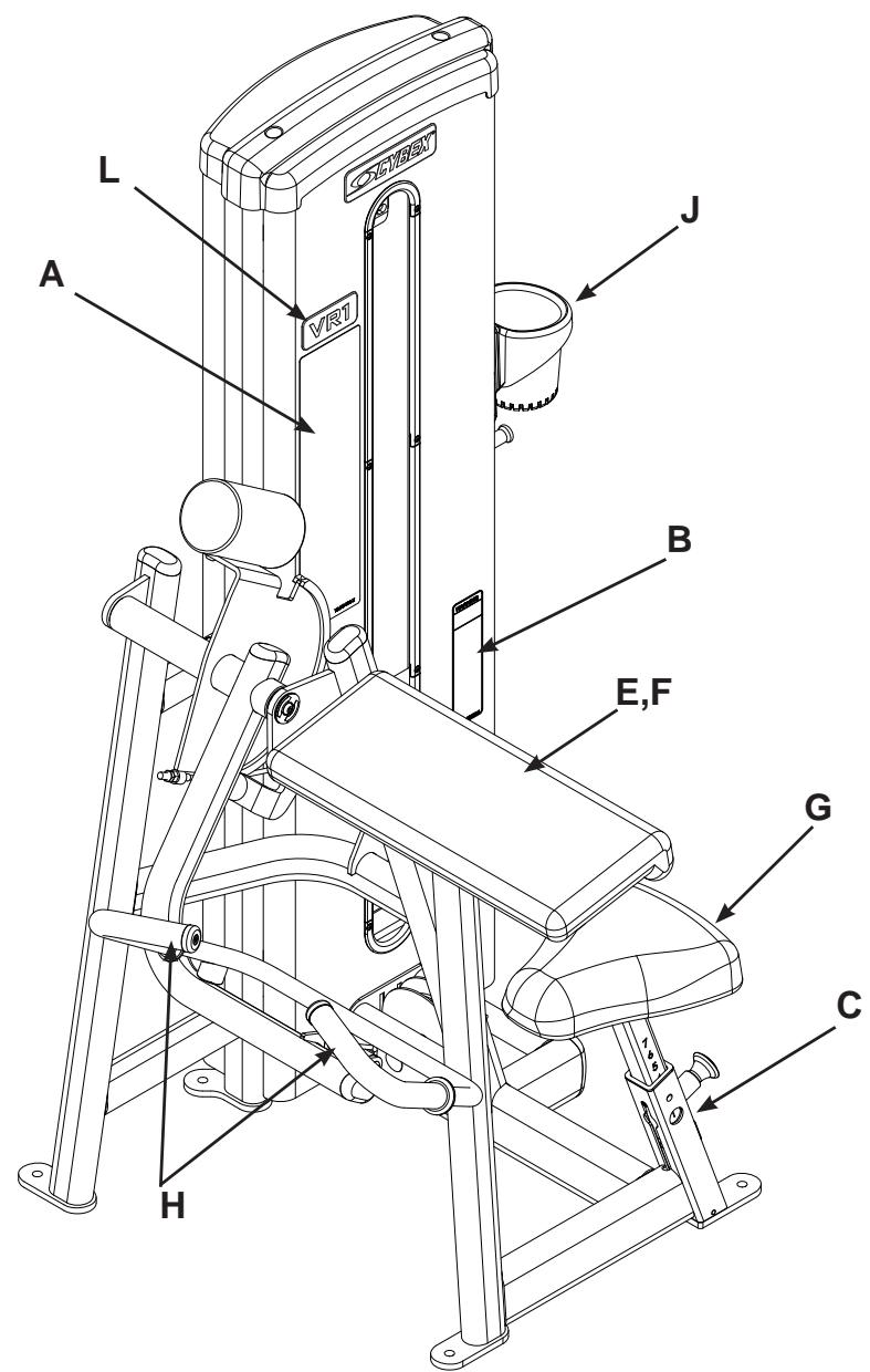 CYBEX INTERNATIONAL 13075 ARM CURL - PRODUCT NO. 13075 - 1