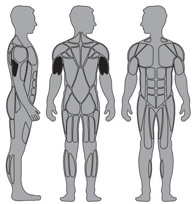 CYBEX INTERNATIONAL 13080 ARM EXTENSION - Instructions - 1