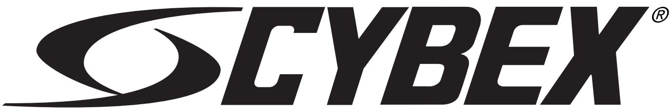 CYBEX INTERNATIONAL 13080 ARM EXTENSION - 1
