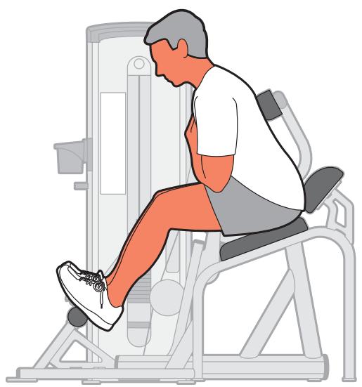 CYBEX INTERNATIONAL 13100 BACK EXTENSION - Instructions - 2