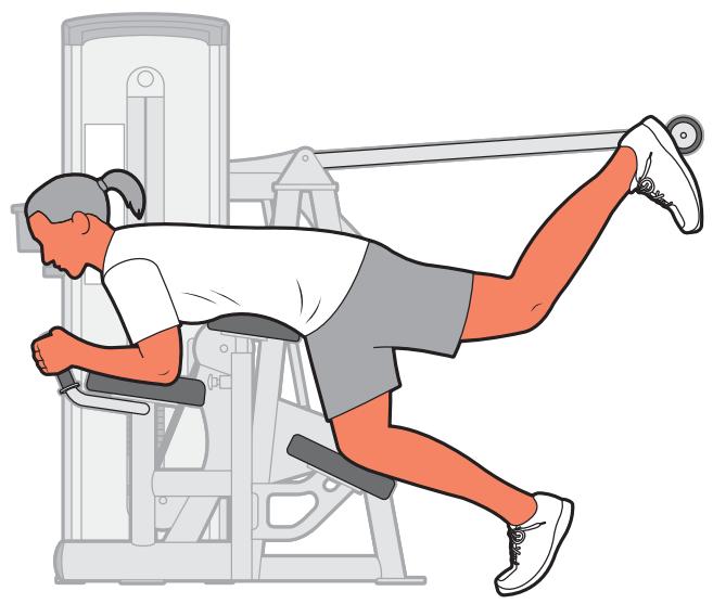 CYBEX INTERNATIONAL 13170 GLUTE - Instructions - 3