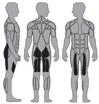CYBEX INTERNATIONAL 13170 GLUTE - Instructions - 1