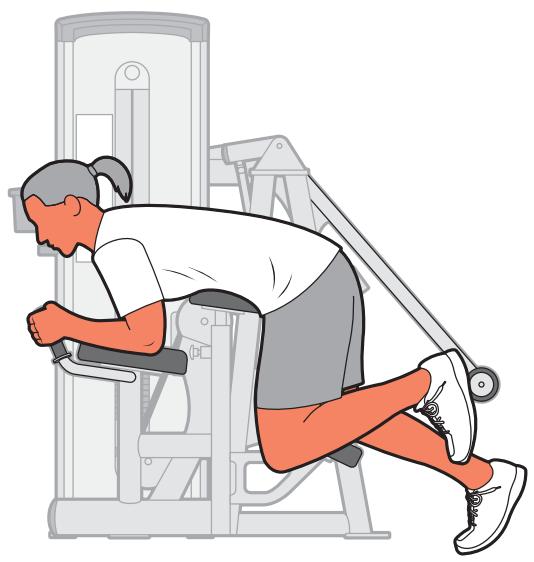 CYBEX INTERNATIONAL 13170 GLUTE - Instructions - 2
