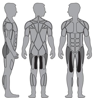 CYBEX INTERNATIONAL 13180 HIP AB-AD - Intended Use - 1